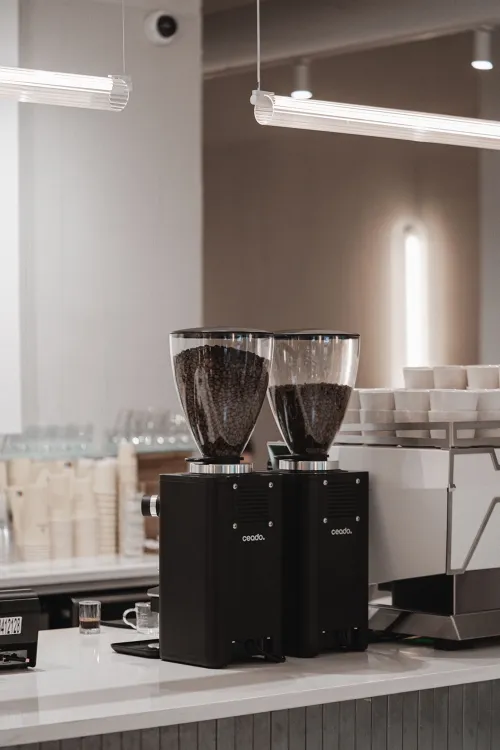 MERON Budapest munkahelyi fotója - Barista állás Budapest (Kép 3)