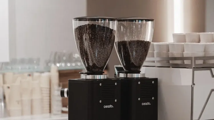 Barista állás Budapest - MERON Budapest