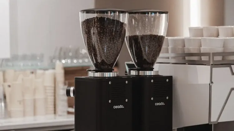 Barista állás Budapest - MERON Budapest