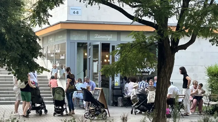 Barista állás Budapest - Zümmögő