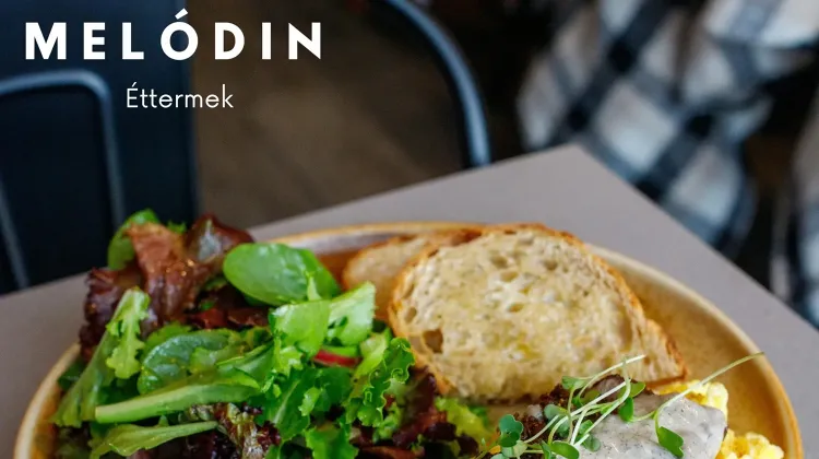 Konyhai kisegítő állás Budapest - Melódin éttermek