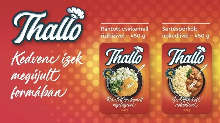 Szakács állás Érd - Thallo-Food Kft