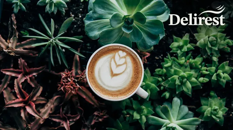 Barista állás Budapest - Delirest