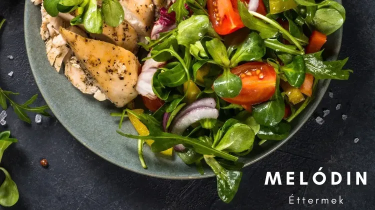 Konyhai kisegítő állás Budapest XIII - Melódin éttermek