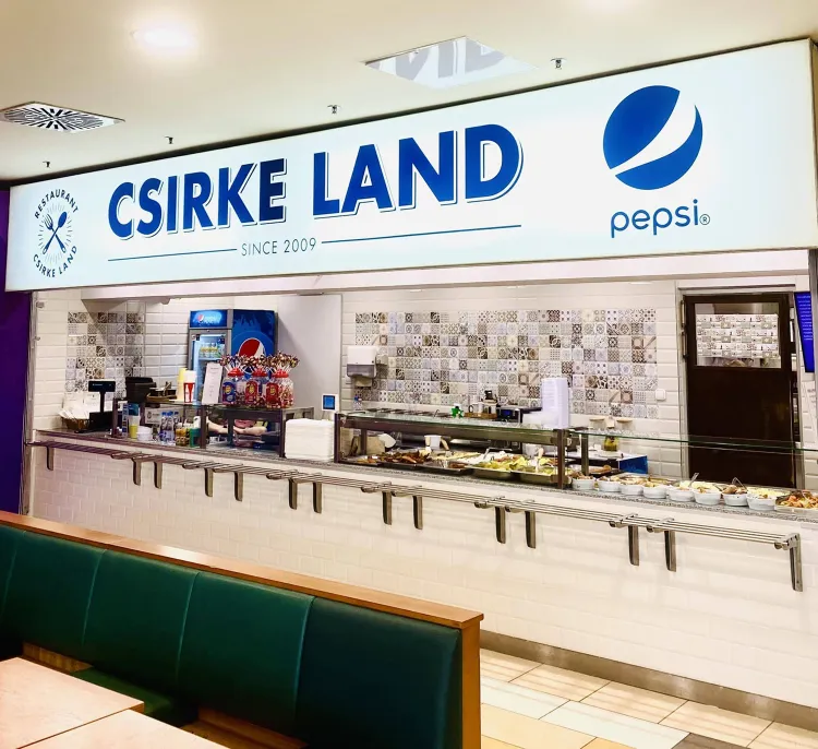 Csirkeland munkahelyi fotója - Fekete mosogató állás Budapest (Kép 3)
