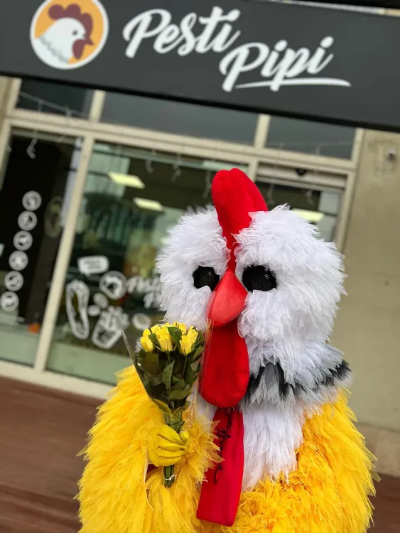 Pesti Pipi érd egység munkahelyi fotója - Eladó állás Érd (Kép 3)