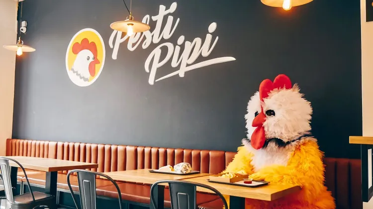 Eladó állás Érd - Pesti Pipi érd egység