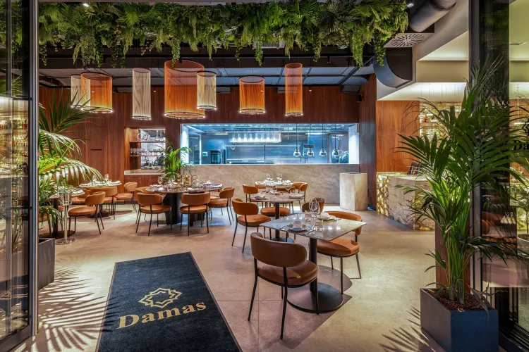 Damas Budapest munkahelyi fotója - Segédfelszolgáló állás Budapest (Kép 2)