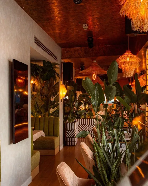 SELVA skybar munkahelyi fotója - Séf állás Budapest (Kép 2)