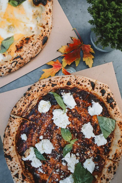 fekete munkahelyi fotója - Pizza szakács állás Budaörs (Kép 1)