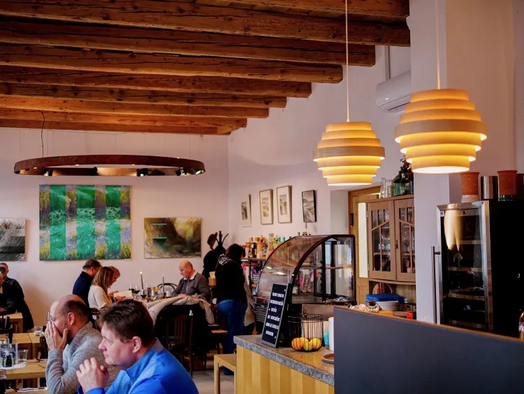 Nefelejcs BorBisztró munkahelyi fotója - Séf állás Badacsonytördemic (Kép 3)