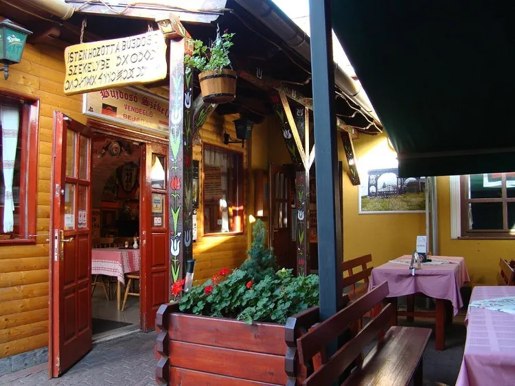 Bujdosó Székely munkahelyi fotója - Felszolgáló Pincér állás Budapest (Kép 1)