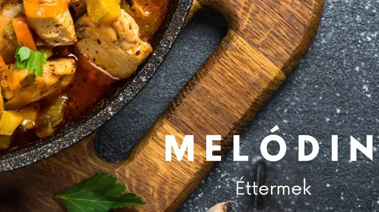 Konyhai kisegítő állás Budapest - Melódin éttermek