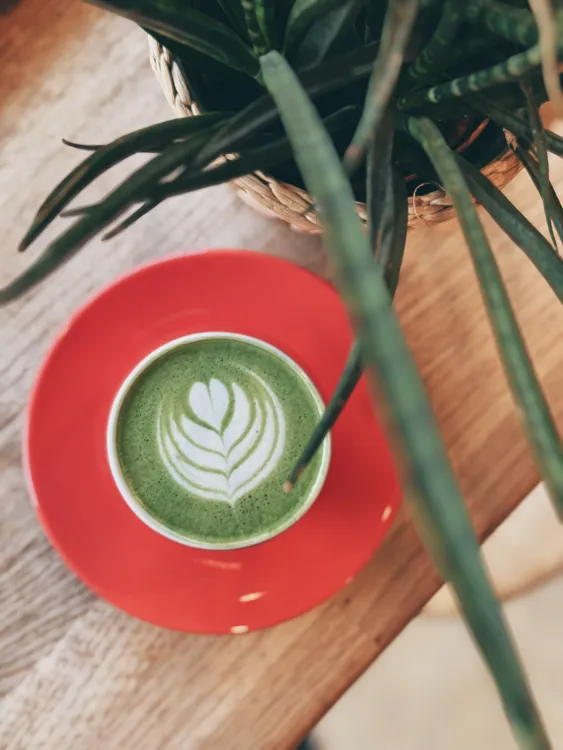 Törökméz munkahelyi fotója - Szakács állás Budapest (Kép 2)