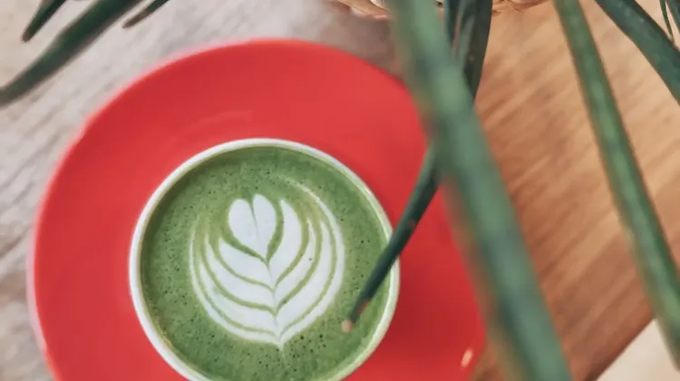 Barista állás Budapest - Törökméz