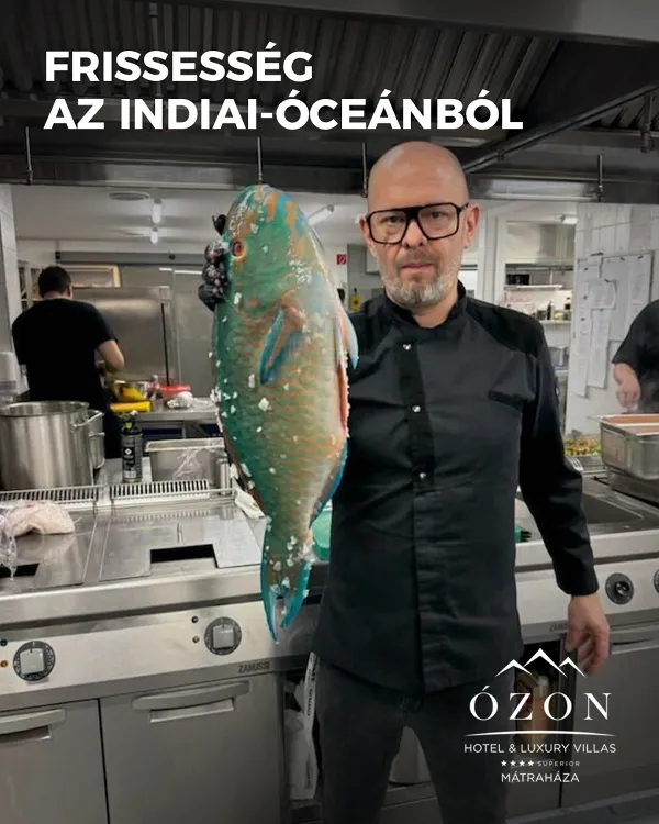 Hotel Ózon munkahelyi fotója - Szállodai szakács állás Mátraháza (Kép 1)