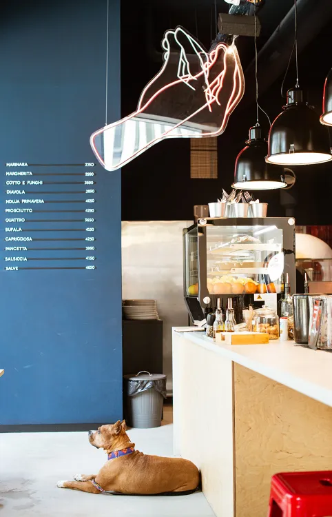 SALVE munkahelyi fotója - Konyhai kisegítő állás Budapest (Kép 3)