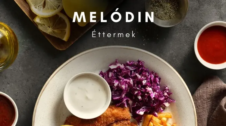 Konyhai kisegítő állás Budapest - Melódin éttermek