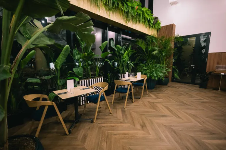 SELVA skybar munkahelyi fotója - Reggeliztető szakács állás Budapest (Kép 1)