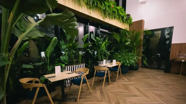 Reggeliztető szakács állás Budapest - SELVA skybar