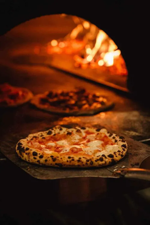 Pizza Palazzo munkahelyi fotója - Pizza szakács állás Gödöllő (Kép 1)