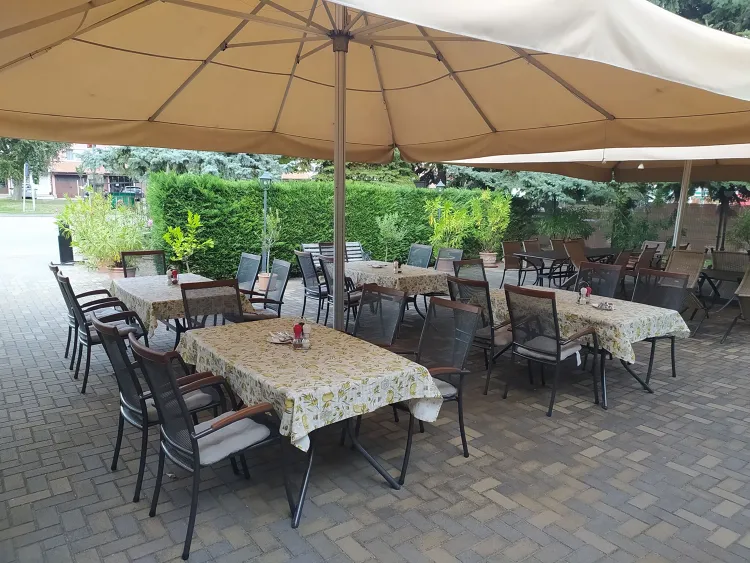 Mihály munkahelyi fotója - Séf állás Balatonalmádi (Kép 1)