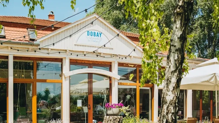 Reggeliztető szakács állás Halásztelek - Semsei Gastronomy