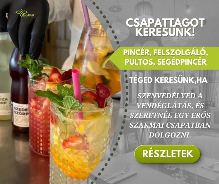 Sulyom Tájétterem munkahelyi fotója - Felszolgáló Pincér állás Sarud (Kép 1)