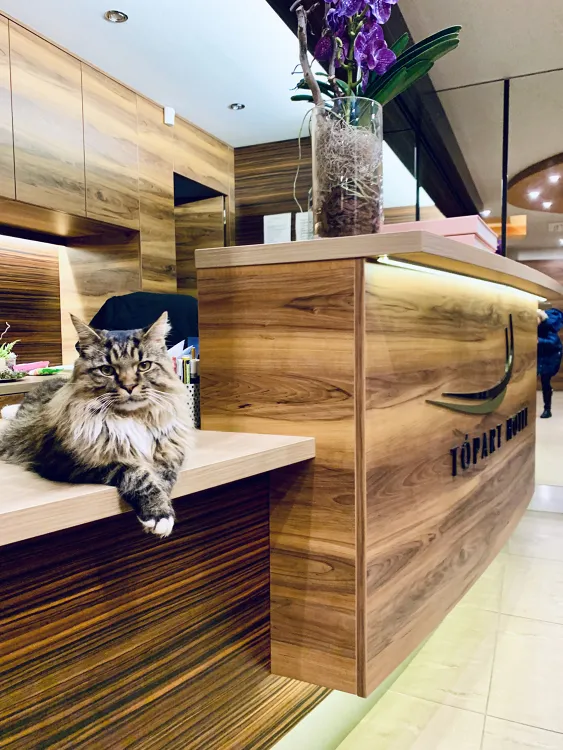 Tópart Hotel Étterem munkahelyi fotója - Recepció állás Balatonvilágos (Kép 3)