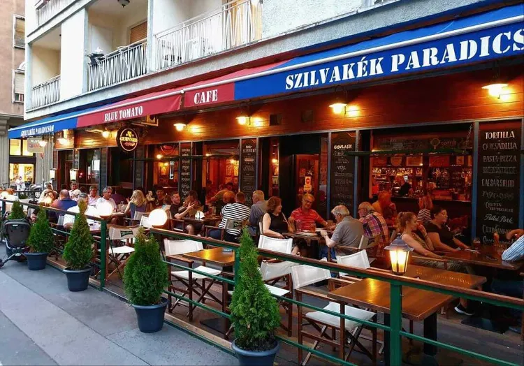 Szilvakék Paradicsom munkahelyi fotója - Szakács állás Budapest (Kép 1)