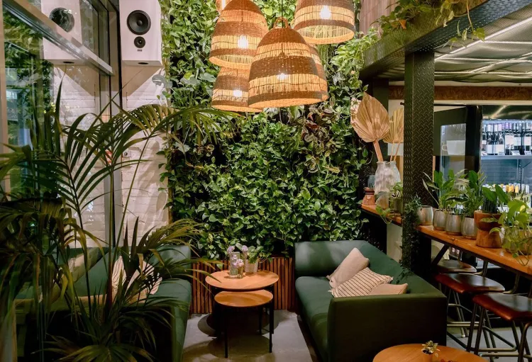 Vegan Garden Kft munkahelyi fotója - Pizza szakács állás Budapest (Kép 1)