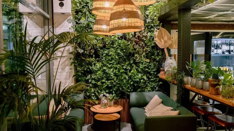 Szakács állás Budapest - Vegan Garden Kft