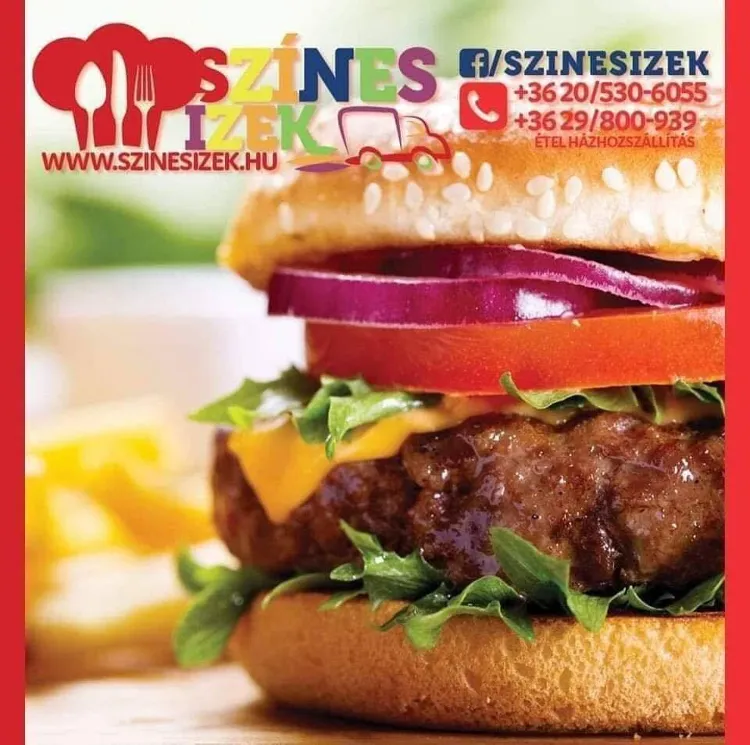 Színes Ízek munkahelyi fotója - Szakács állás Ócsa (Kép 1)