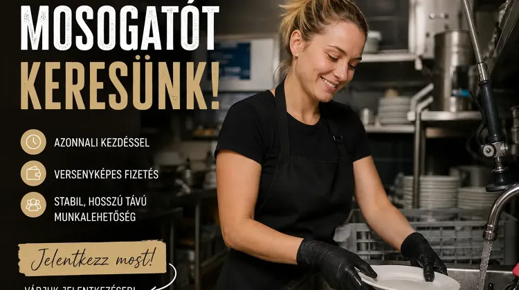 Fekete mosogató állás Budapest - Joy Étterem és Pizzéria