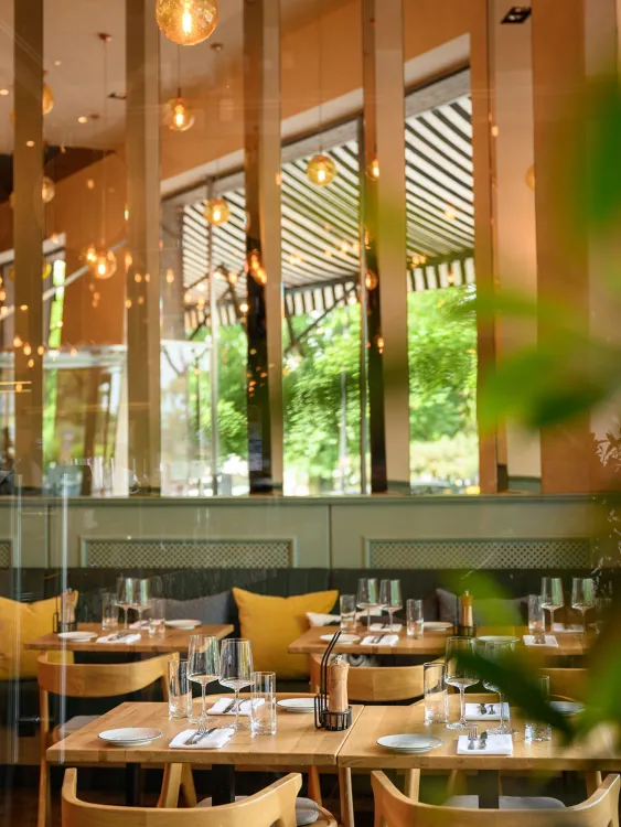 Leon Osteria munkahelyi fotója - Felszolgáló Pincér állás Budapest (Kép 1)