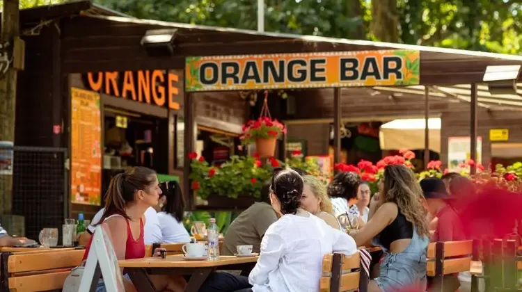 Pultos állás Budapest - Kormos Catering Kft