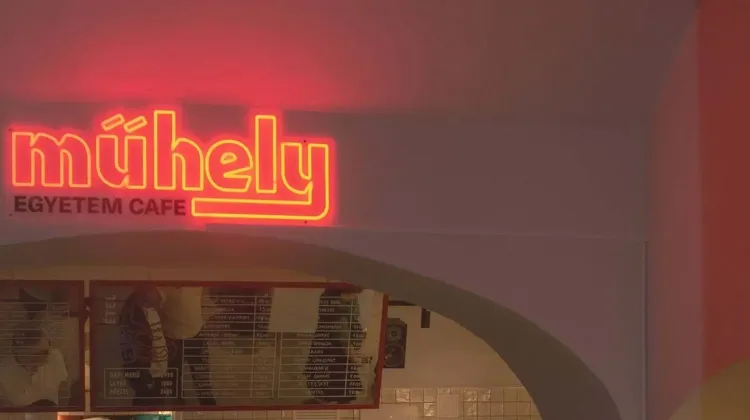 Konyhai kisegítő állás Budapest - Műhely Catering