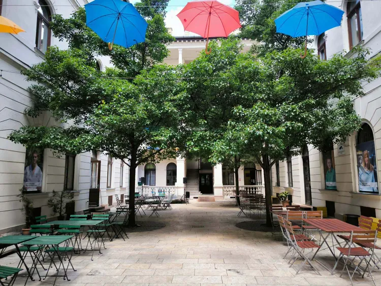 Esernyős kávézó munkahelyi fotója - Pultos állás Budapest (Kép 2)
