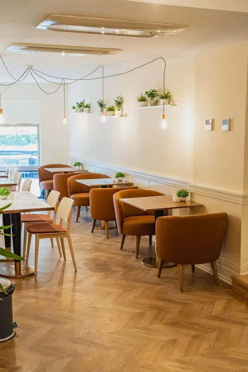 Cafe Brunch Budapest munkahelyi fotója - Szakács állás Szentendre (Kép 3)