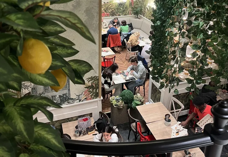 Forni di Napoli munkahelyi fotója - Felszolgáló Pincér állás Budapest (Kép 1)