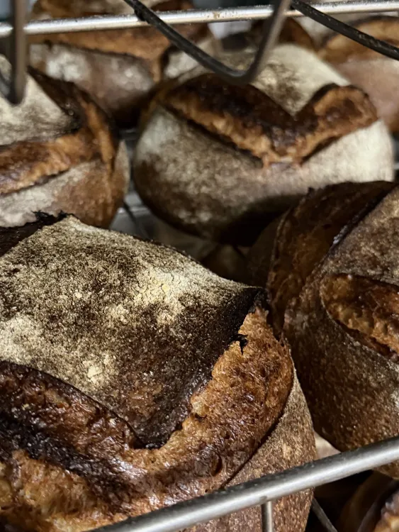 LUI Bakery munkahelyi fotója - Pék állás Budapest (Kép 3)