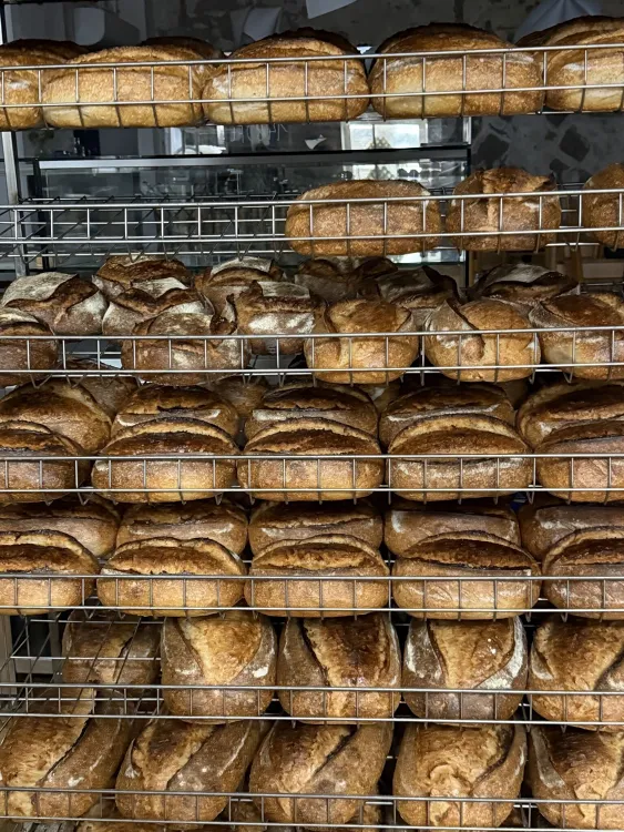 LUI Bakery munkahelyi fotója - Pék állás Budapest (Kép 1)