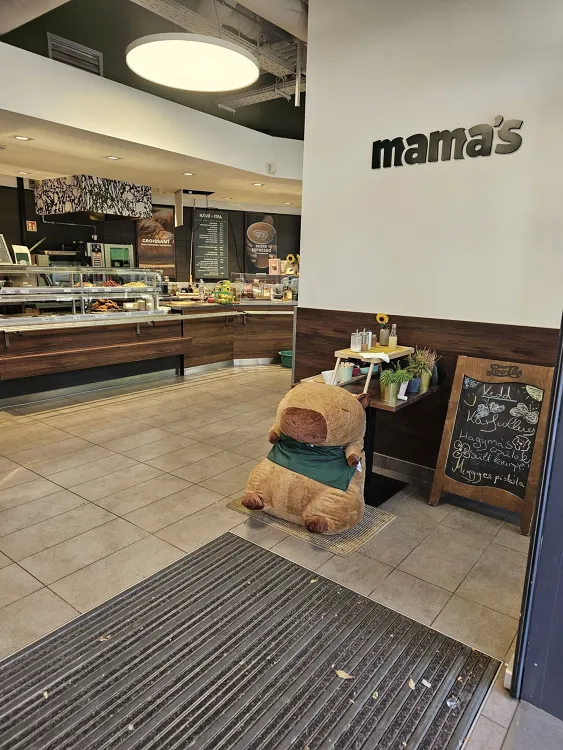 Mama's Café & Canteen munkahelyi fotója - Fekete mosogató állás Budapest (Kép 3)