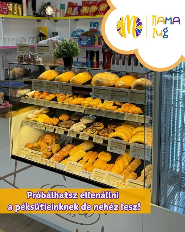 MamaZug X Lipóti munkahelyi fotója - Eladó állás Budapest (Kép 1)