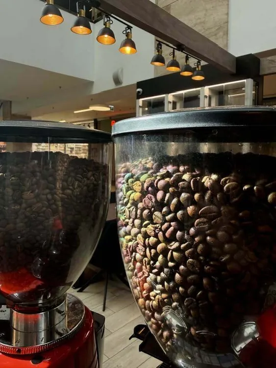 Fusion Café (Mom Park) munkahelyi fotója - Barista állás Budapest (Kép 1)