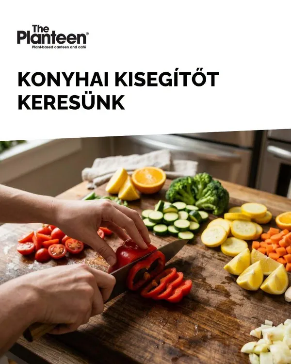 The Planteen munkahelyi fotója - Konyhai kisegítő állás Budapest (Kép 1)